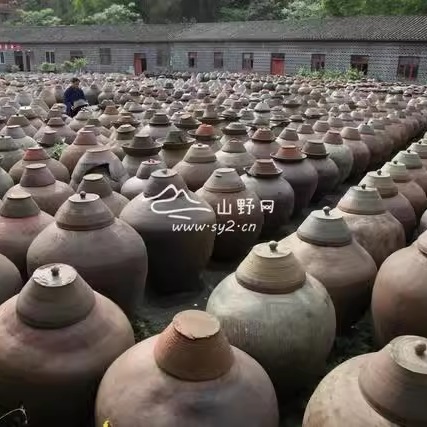 永川特产松溉盐白菜四川重庆汆汤肉专用酱腌菜大菜菜黄秧白咸菜-图2