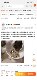 The cattery makes homemade whole-meat cat rice, fully cooked raw meat and bones mixed with cooked meat without adding water, and is used as an aid for cat ringworm and urinary stones.