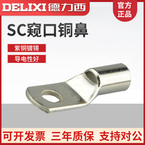 Deli West SC10-6 25-8 35-10 35-10 70-8 70-8 95-12 95-12 snoop copper nose wiring terminals