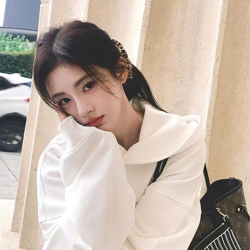 纷飞的夜晚~鞠婧祎同款豹纹大肠发圈头绳超大大号真丝高级感发饰 - 图0