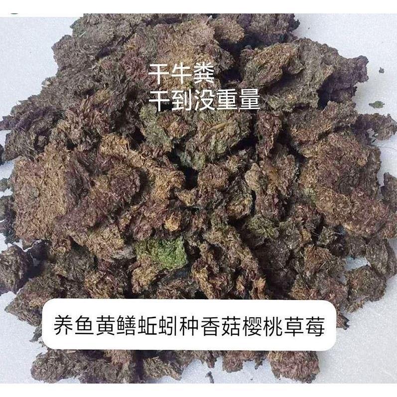 发酵牛粪纯天然牛屎粪纯干牛粪块肥有机肥料农家花卉种花种菜种植 - 图3