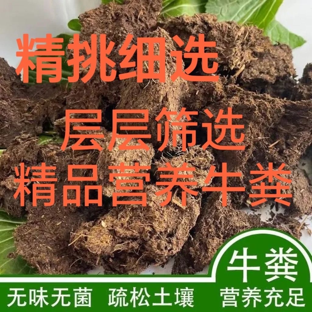 纯干牛粪块肥料花卉蔬菜有机肥营养土养花壮根促果牛屎农家肥种花 - 图0