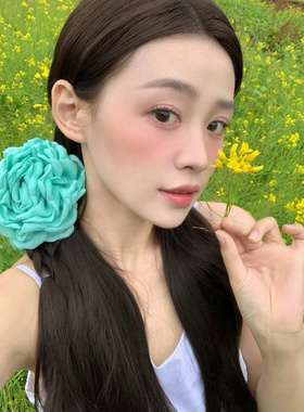 其他抓夹百搭玫瑰花发饰