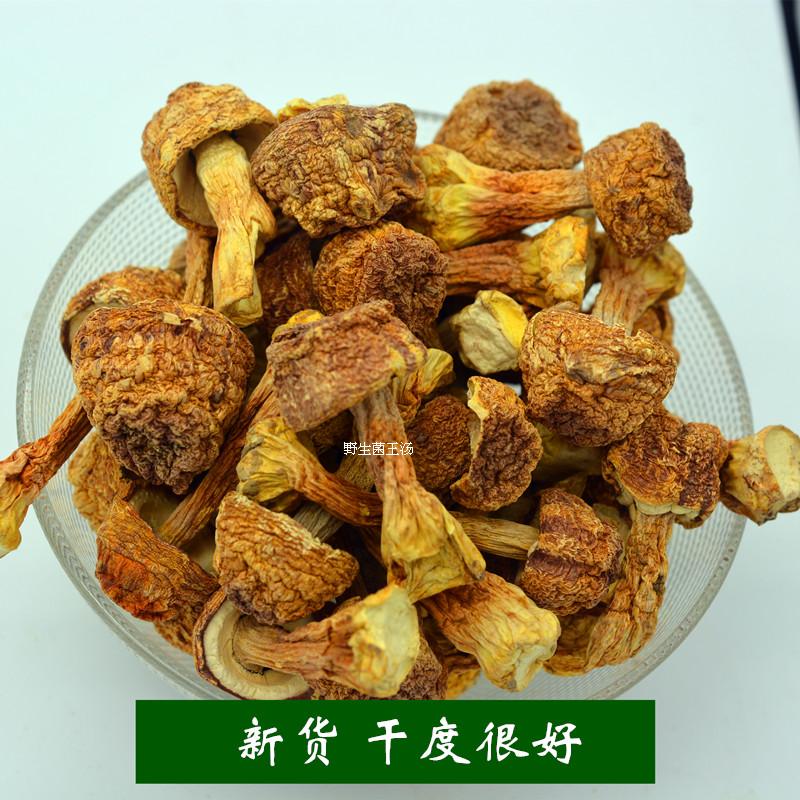 云南松茸菌大个姬松茸干货无硫美味非野生菌蘑菇250g煲汤炖汤食材 - 图0