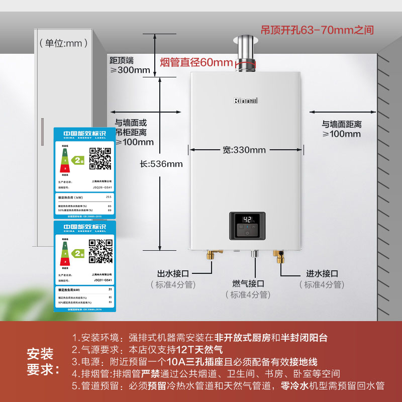 Rinnai/林内 JSQ31-GS41燃气热水器家用恒温天然气静音洗澡强排式 - 图0