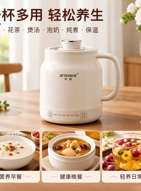 半球电炖杯便携保温养生新款
