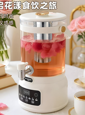 半球4L全自动养生电热水壶