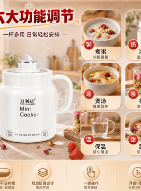 万利达新款便携电煮电炖杯保温