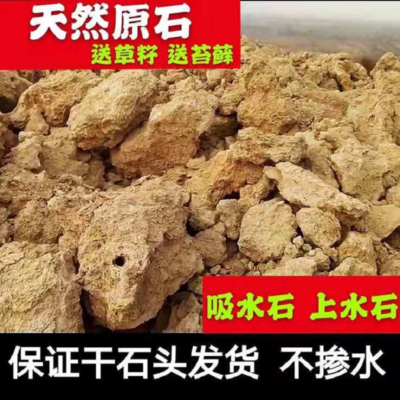 上水石原石吸水石原石天然假山盆景鱼缸造景水秀石脉管石麦管石头 - 图0