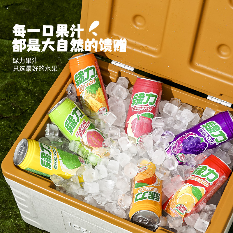台湾绿力果汁饮品葡萄汁水蜜桃番石榴水果味480ml5罐聚餐网红饮料