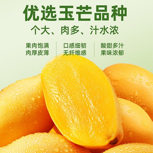 味滋源芒果干水果干大袋即食果肉脯蜜饯玉芒果干办公室休闲零食 - 图2