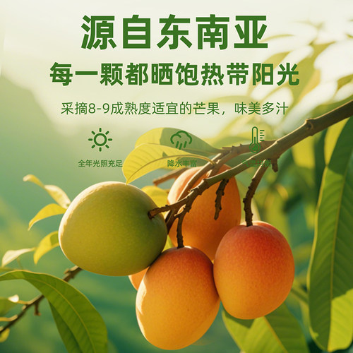 味滋源芒果干水果干大袋即食果肉脯蜜饯玉芒果干办公室休闲零食 - 图1