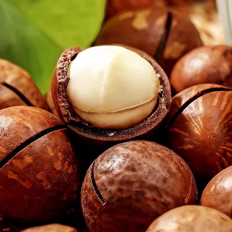 味滋源夏威夷果奶香味健康新货坚果炒货办公室零食小吃过年送礼,淘宝优惠券,粉丝福利购,淘宝优惠卷