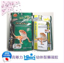 Hikari High Enough Power Young Body Day Line Patron Mane Lions Stone Cage Lizard Reptile Reptile Nutrient Palatable Gel 60g