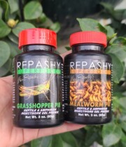 American REPASHY bread worm grasshopper grasshopper BAO WEN Giant Patron Pamper for Nutritional Insects Pink pacy