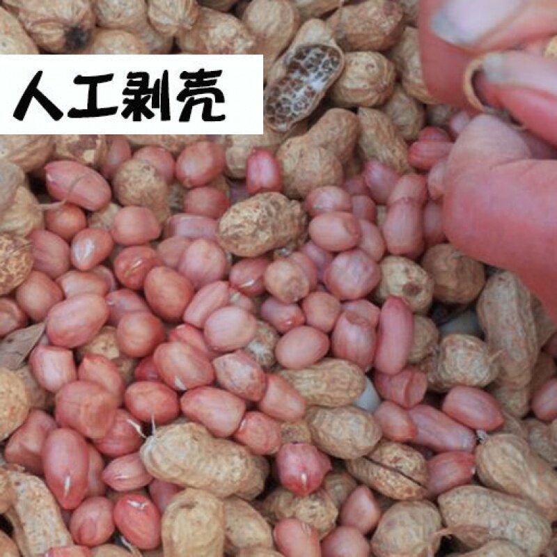 19年新鲜干花生米批发5斤粉皮花生 伊乃人家花生