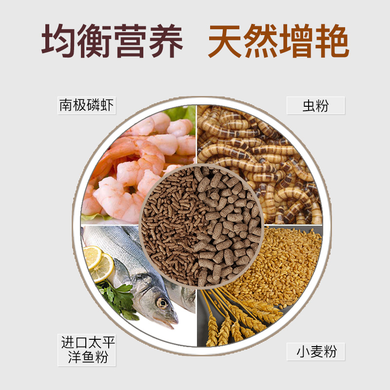 老渔匠龙鱼饲料金龙鱼食银龙红龙鱼专用鱼粮热带鱼观赏鱼饲料颗粒-图1