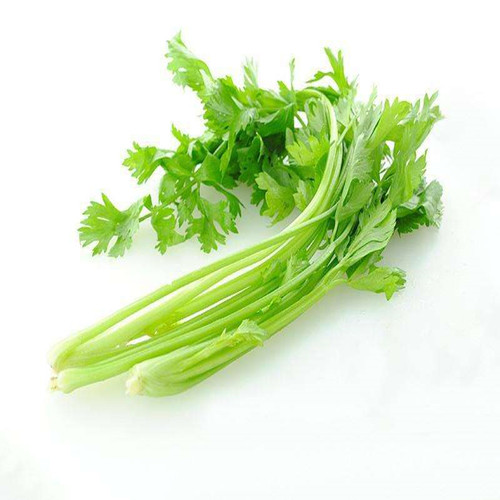 香芹种子大全四季耐寒老品种小叶芹菜种籽高产早熟阳台蔬菜种孑 - 图3