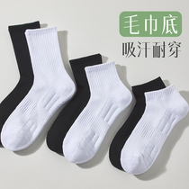 Towel Sox Mens basketball Sport Silo Socks Thickened Wool Circle Long Cylinder Professional Badminton Running Summer Mens Short Socks