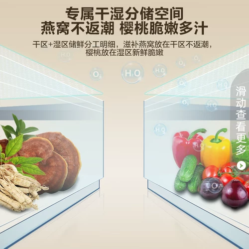 Rongsheng 529L Двойные открывающиеся приводы Drired Dotomation Holrigrator, обстановка с большим ультрафальностью ультрафальто