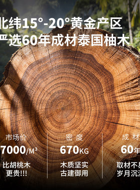 异丽实木轻奢茶几坚果盘