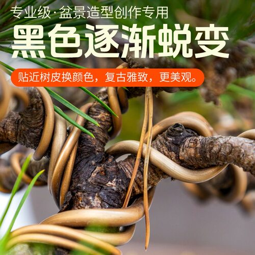 爬藤架瓜果架专用铝丝线盆景园艺造型专用软铝线盘扎定型花支架 - 图3