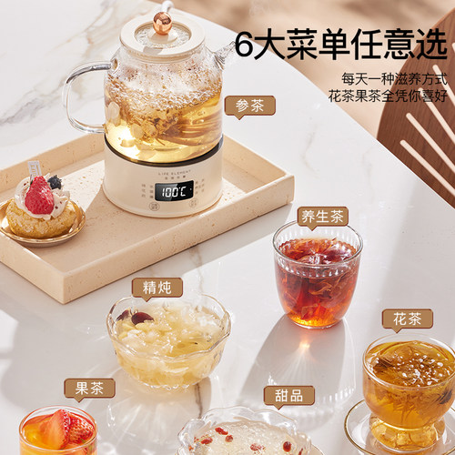 生活元素养生壶电炖家用多功能迷你小型煮茶壶电煮杯办公室花茶壶 - 图2