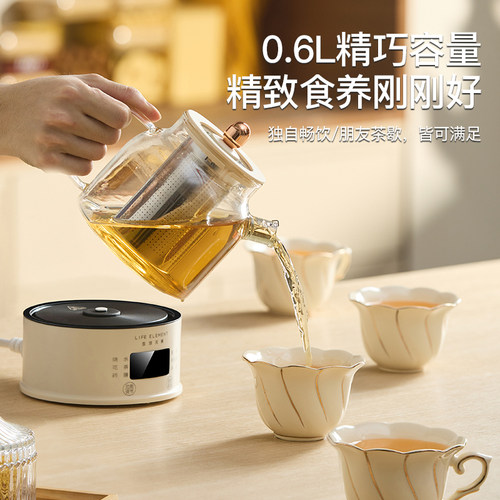 生活元素养生壶电炖家用多功能迷你小型煮茶壶电煮杯办公室花茶壶 - 图0