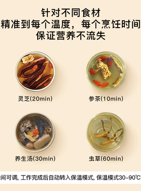生活元素养生壶家用蒸煮一体小型