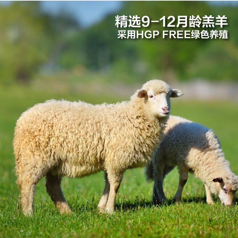 山姆新西兰进口0添加羔羊孜然味手抓烤羊排2份装850g速食10分钟,淘宝优惠券,粉丝福利购,淘宝优惠卷