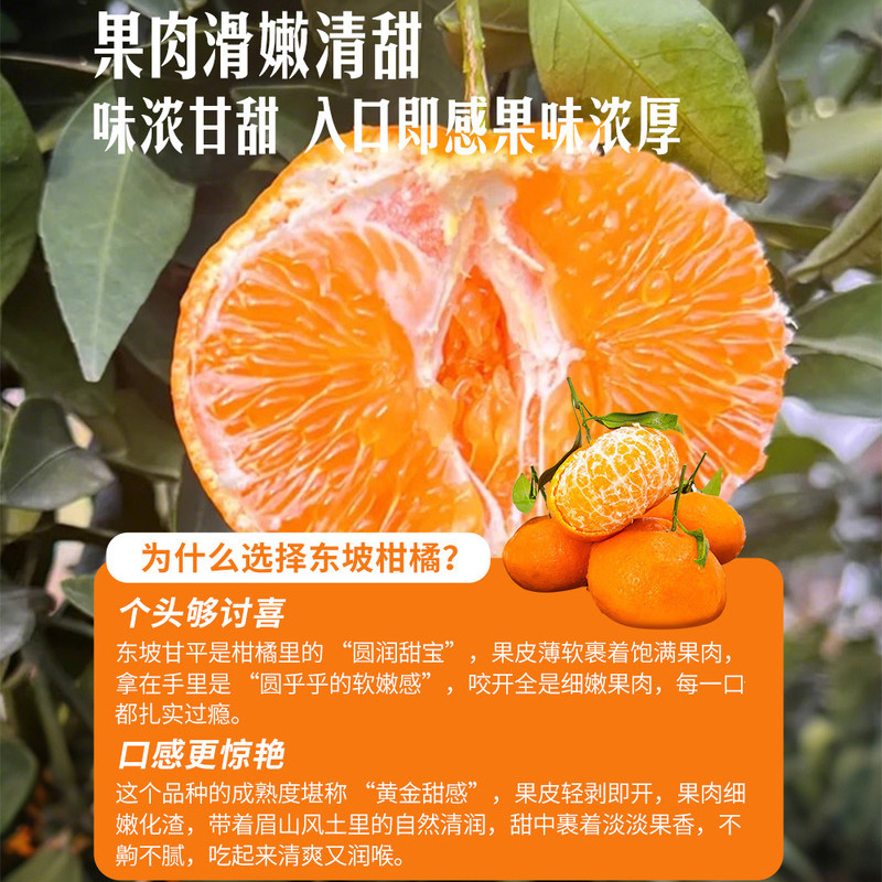 山姆四川眉山东坡超大柑橘大桔大利礼盒3kg新鲜水果橘子薄甜多汁,淘宝优惠券,粉丝福利购,淘宝优惠卷