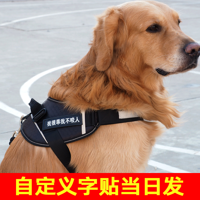 溜狗狗牵引绳中小型犬幼犬柯基法斗可调节狗背心式胸背带狗狗用品 - 图0