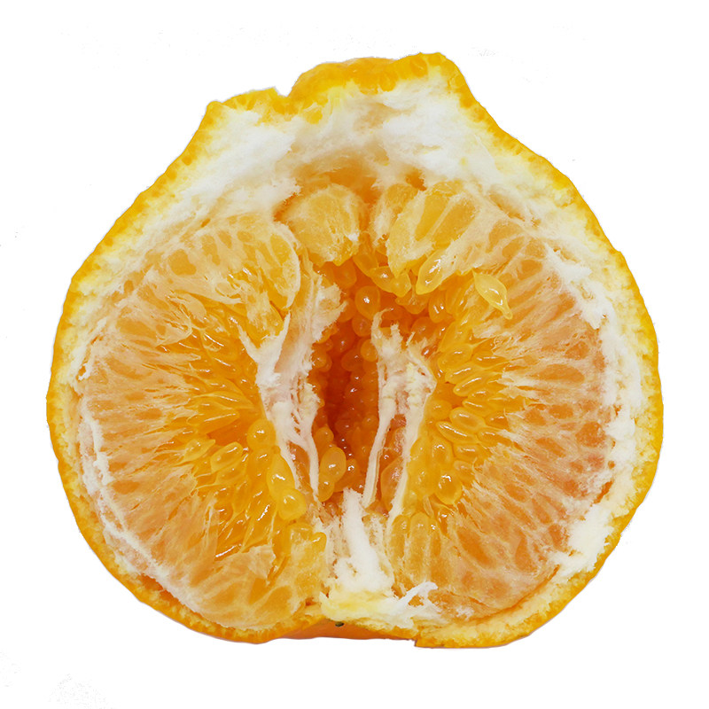 四川眉山春见耙耙柑精选中大果8装新鲜现摘果园直发超甜多汁橘子,淘宝优惠券,粉丝福利购,淘宝优惠卷