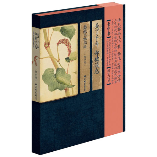 【精装彩绘】美了千年却被淡忘 诗经名物图解古诗词动植物手绘书籍花开未觉几回清梦四时花草风吹兰芷芳华如故楚辞草木画谱 - 图0