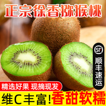 Shaanxi Eyebrow County Xu Xiangqi Exotic Fruits Zhengzong Special Class Fresh Catfish When Season Green Heart Chic Exotic Fruit Whole Box 5