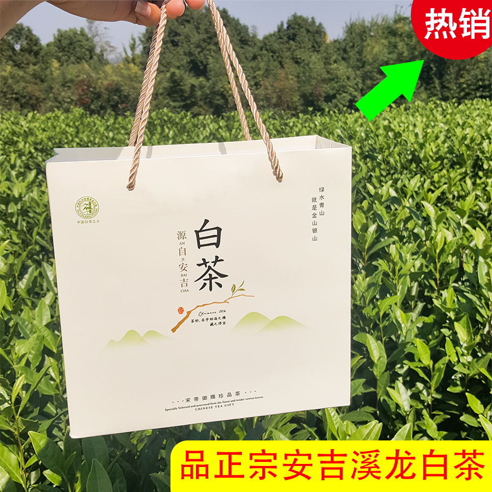 2024年新茶现货正宗安吉安且茗白茶雨前一级A绿茶共200g春茶礼盒 - 图0