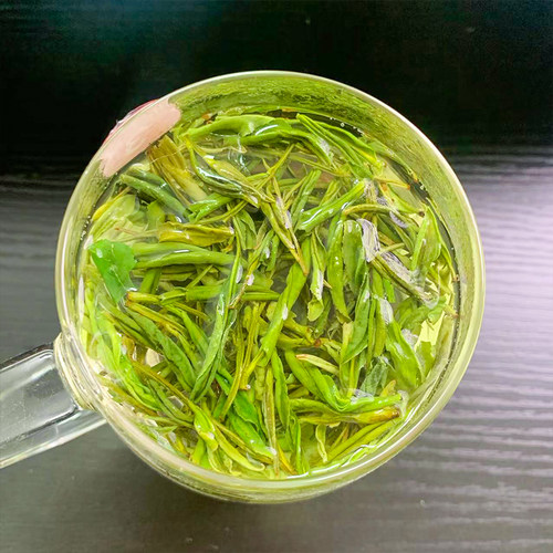 2026年安吉安且茗白茶新茶叶正宗上市雨前一级绿茶春茶500g散装 - 图2
