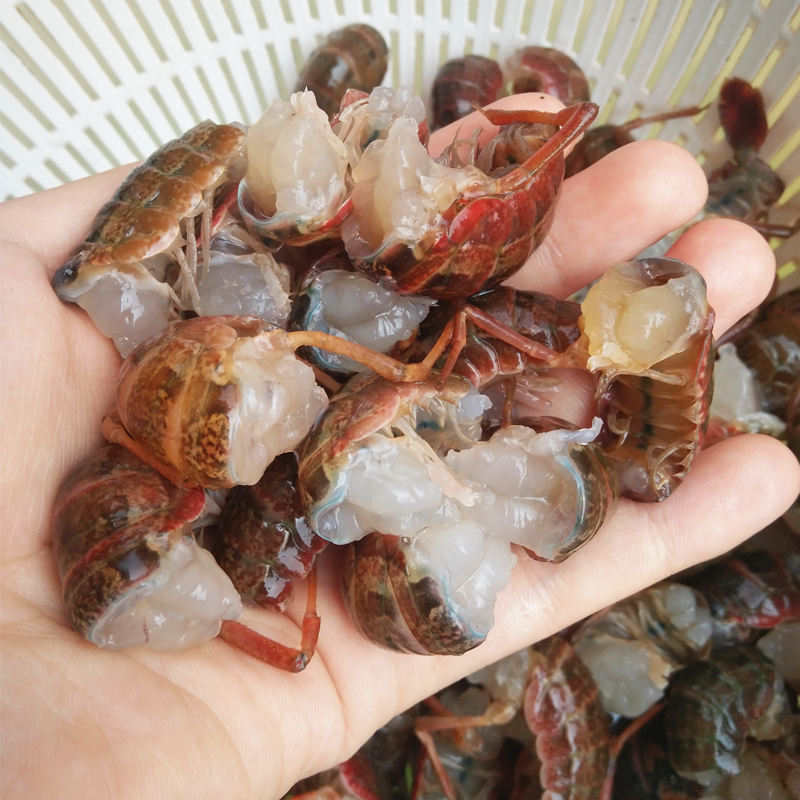  农巴老虾类制品