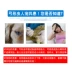 Pet cung cấp cho chó Toxoplasma giấy thử nghiệm mèo cưng phát hiện virus virus TOXO chó mèo chung zoonosis - Cat / Dog Medical Supplies Súng tiêm thú y Cat / Dog Medical Supplies