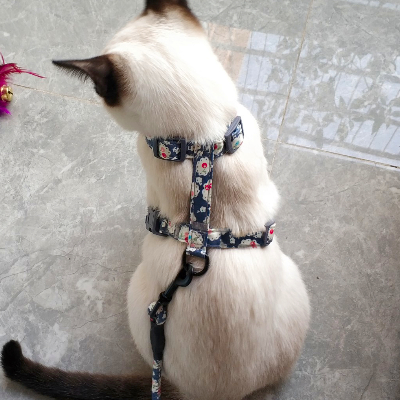 猫咪工字型胸背猫牵引绳日式和风防挣脱外出遛猫绳小型犬宠物用品 - 图0