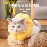 Кошка Элизабет Круг Круг Кот Шея Абсорбция Позор Стык Круг Антивязый укус подсолнечные собаки могут приспособиться к милым