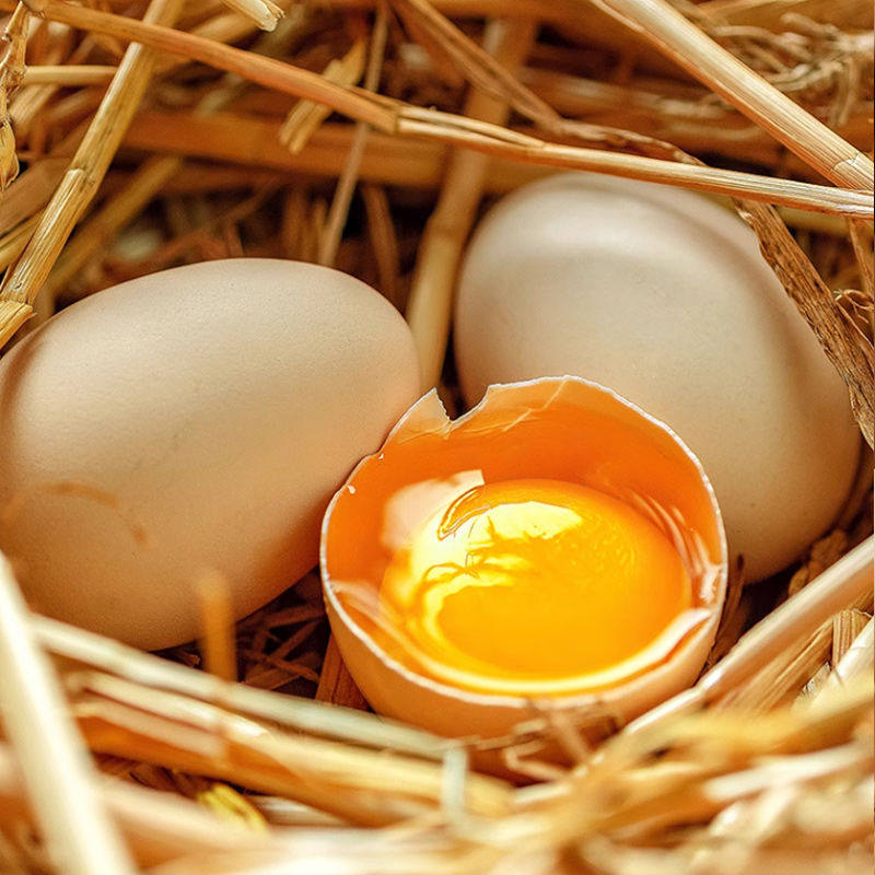 农家新鲜散养土鸡蛋谷物蛋初生蛋月子蛋40g现捡现发柴鸡蛋笨鸡蛋,淘宝优惠券,粉丝福利购,淘宝优惠卷