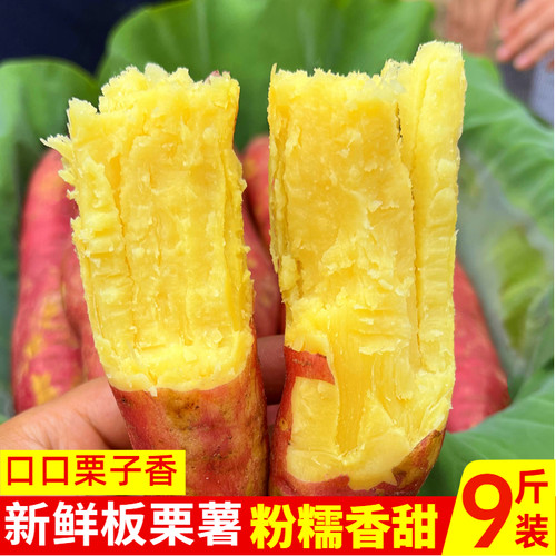 新鲜现挖陕西板栗红干粉面香黄心密薯农家自种爆皮地瓜番薯小香薯 - 图2