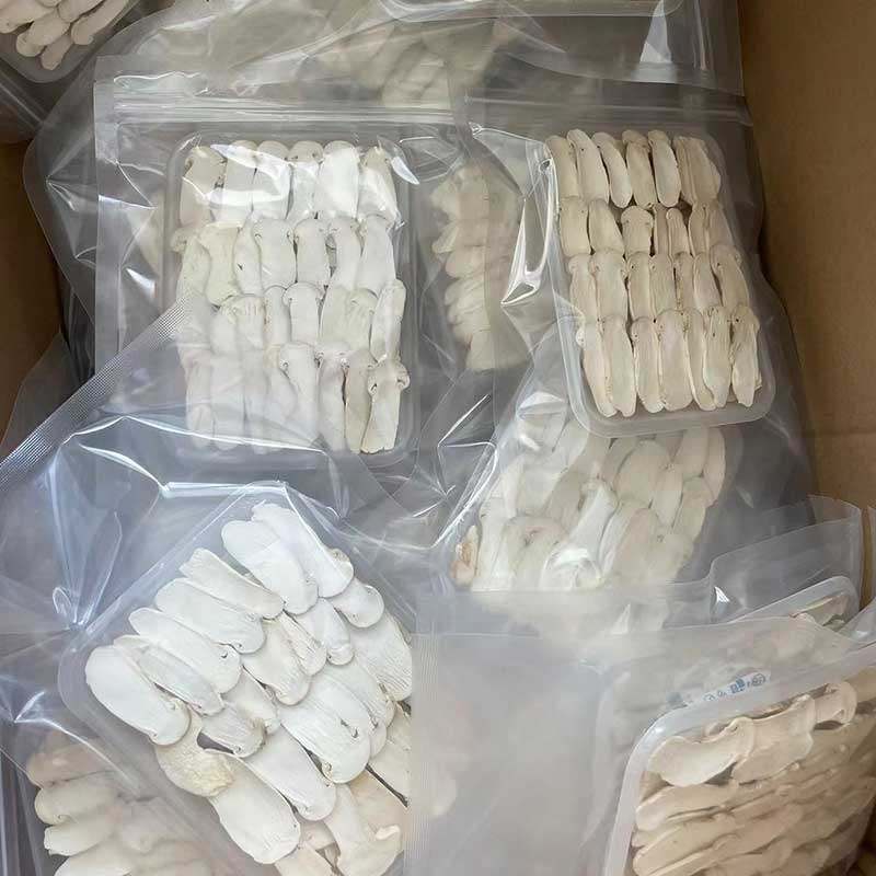 多彩森众FD冻干松茸片酒店餐饮用7-9CM松茸干货云南香格里拉松茸,淘宝优惠券,粉丝福利购,淘宝优惠卷