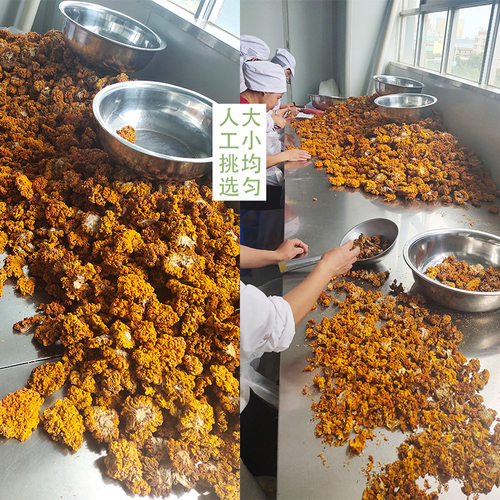 云南特产野外生长椴木金耳菌黄木耳脑耳银耳干木耳菌菇黄金耳干货 - 图2