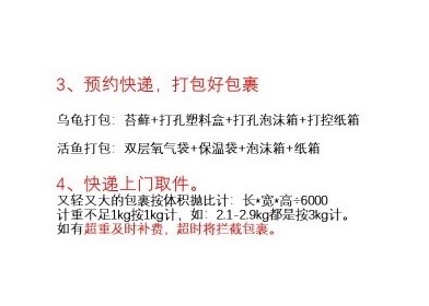 全国快递活物代发、合法乌龟代发、宠物代发快递活物代发快递。-图1