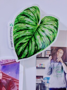 绿植冰箱贴热植blingbling