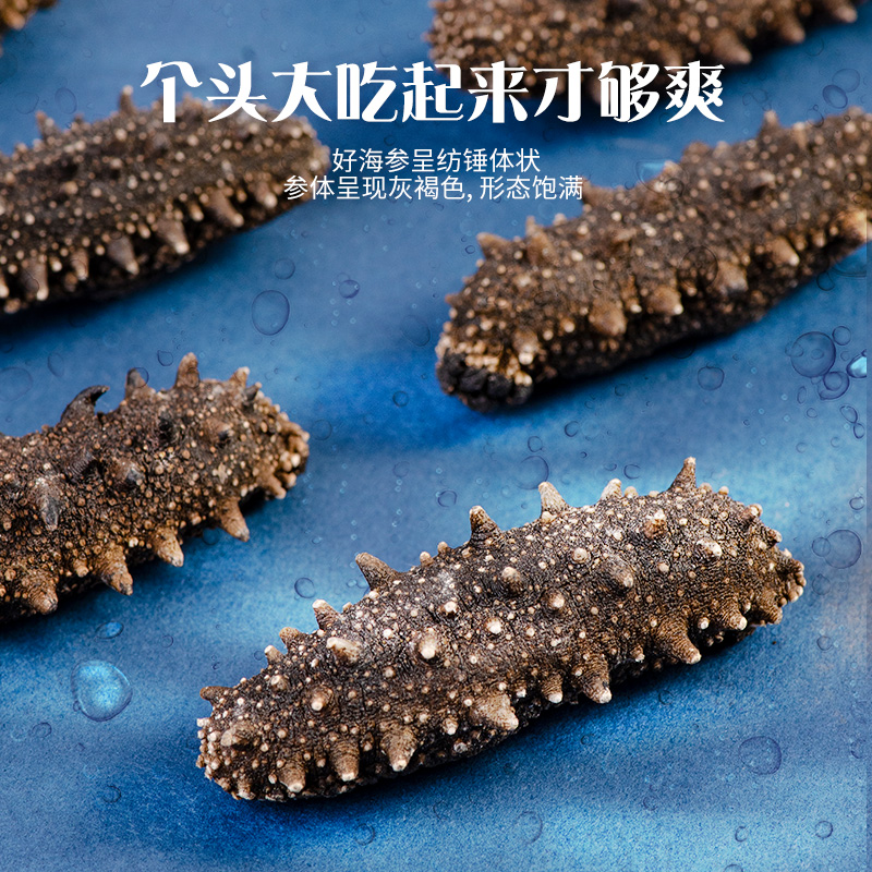 养庆堂旗舰店大连海参淡干海参干货500g鲜活海生非即食海渗礼盒单个装刺参海渗0