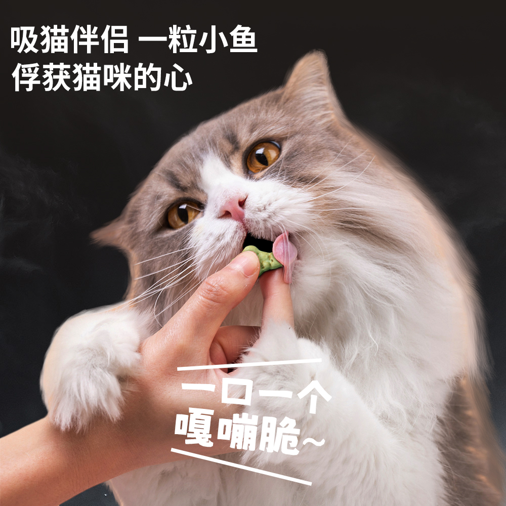 猫薄荷饼干猫咪零食小鱼干磨牙棒洁齿幼猫零食猫草棒营养增肥鸡肉 - 图0