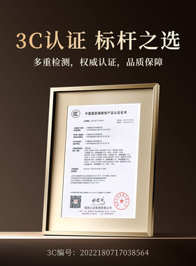 晨品纯钛新款家用泡茶烧水壶